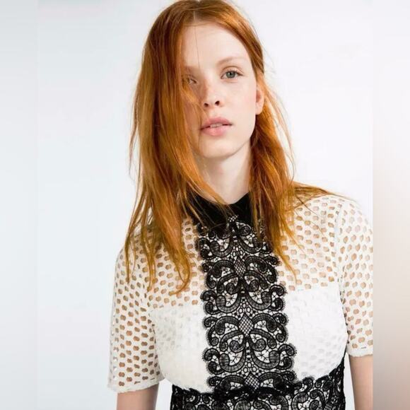 ZARA Black Sheath Tube Dress Twee Lace Short Sleeve Top Size S Office Cocktail - Picture 3 of 16